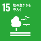 15.̖L낤